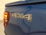 2025 F-150 Thumbnail 11