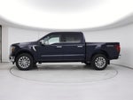 2025 F-150 Thumbnail 3