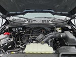 2025 F-150 Thumbnail 22