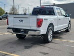 2024 F-150 Thumbnail 4