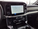 2025 F-150 Thumbnail 14