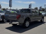2025 F-150 Thumbnail 11