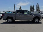 2025 F-150 Thumbnail 12