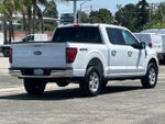 2025 F-150 Thumbnail 3