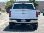 2025 F-150 Thumbnail 4