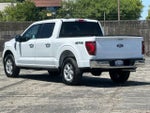 2025 F-150 Thumbnail 5