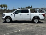 2025 F-150 Thumbnail 6