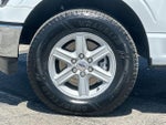 2025 F-150 Thumbnail 24
