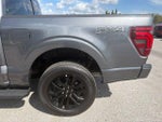 2026 F-150 Thumbnail 9