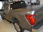 2024 F-150 Thumbnail 5