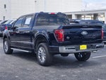 2024 F-150 Thumbnail 8