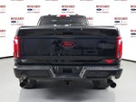 2025 F-150 Thumbnail 10