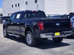 2025 F-150 Thumbnail 6
