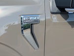 2026 F-150 Thumbnail 11