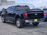 2024 F-150 Thumbnail 6