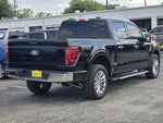 2024 F-150 Thumbnail 8