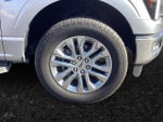 2024 F-150 Thumbnail 16