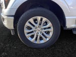 2024 F-150 Thumbnail 6