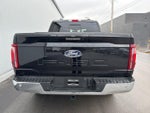 2024 F-150 Thumbnail 26