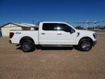 2024 F-150 Thumbnail 4