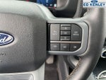 2025 F-150 Thumbnail 24