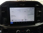 2025 F-150 Thumbnail 19