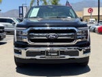 2025 F-150 Thumbnail 4