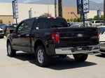 2025 F-150 Thumbnail 8