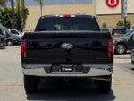 2025 F-150 Thumbnail 10