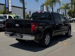 2025 F-150 Thumbnail 11