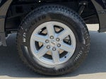 2025 F-150 Thumbnail 14