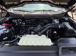 2025 F-150 Thumbnail 34