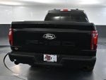 2024 F-150 Thumbnail 4