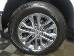2024 F-150 Thumbnail 10