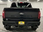 2024 F-150 Thumbnail 5