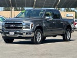 2025 F-150 Thumbnail 7