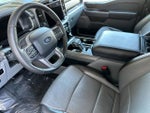 2025 F-150 Thumbnail 9