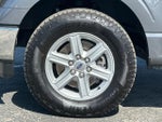 2025 F-150 Thumbnail 24
