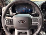2025 F-150 Thumbnail 15