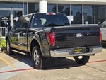 2025 F-150 Thumbnail 4
