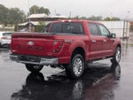 2025 F-150 Thumbnail 6