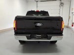 2025 F-150 Thumbnail 4