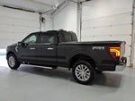 2025 F-150 Thumbnail 6