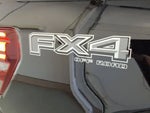 2025 F-150 Thumbnail 11