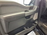 2025 F-150 Thumbnail 13