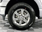 2025 F-150 Thumbnail 8