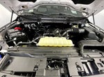 2025 F-150 Thumbnail 9