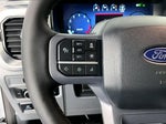 2025 F-150 Thumbnail 18