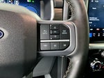 2025 F-150 Thumbnail 19