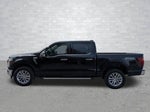 2025 F-150 Thumbnail 9